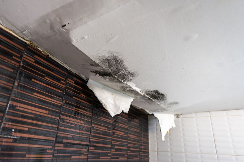 Leaking Ceiling Repair in Alpharetta, GA